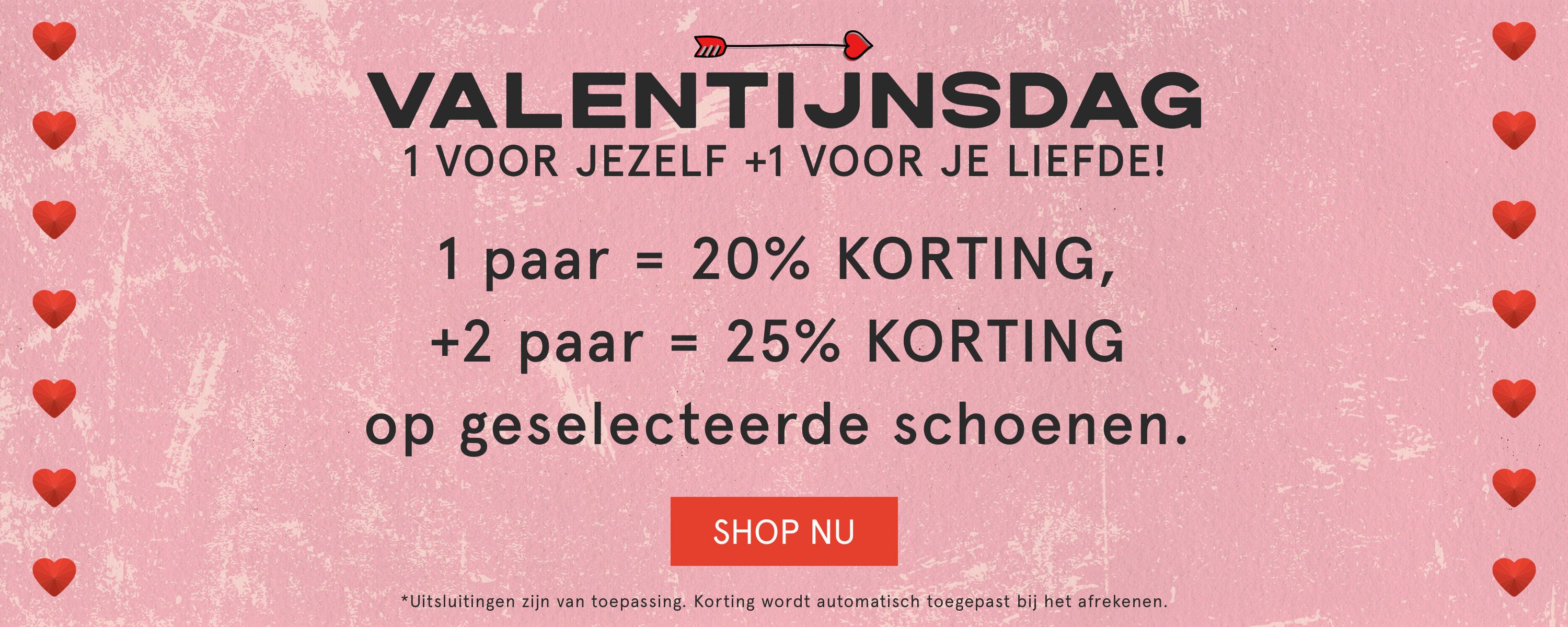 Valentine's Day Promo Banner